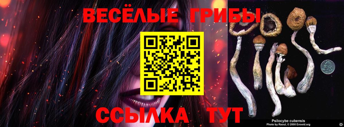 Верхняя Пышма  Псилоцибиновые грибы MAGIC MUSHROOMS  Вход с VPN  Псилоцибиновые грибы Psilocybe 